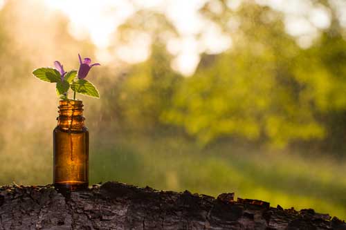 Bachblütentherapie - Naturheilmittel, Aromatherapie - Flasche