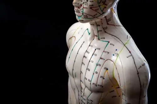 Akupunktur - Alternative Medizin und ostasiatische Heilmethoden Konzept mit Akupunktur-Dummy-Modell mit Kopienraum. Akupunktur ist die Praxis des Einsteckens von Nadeln in das subkutane Gewebe, Haut und Muskeln
