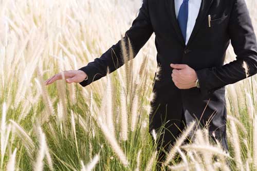 Umwelt- und Klimaschutzmanager - Geschäftsmann, der auf einem Feld steht und das hohe Gras mit der Hand berührt.