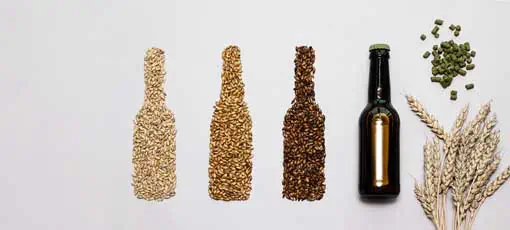 Assistant Craft Brewer IHK | Bierflaschen aus verschiedenen gemälzten Körnern, flach gelegt. Handgefertigtes Bier aus Getreidegerste. Zutaten für Brauer.